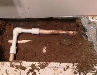 望都测漏水哪家好